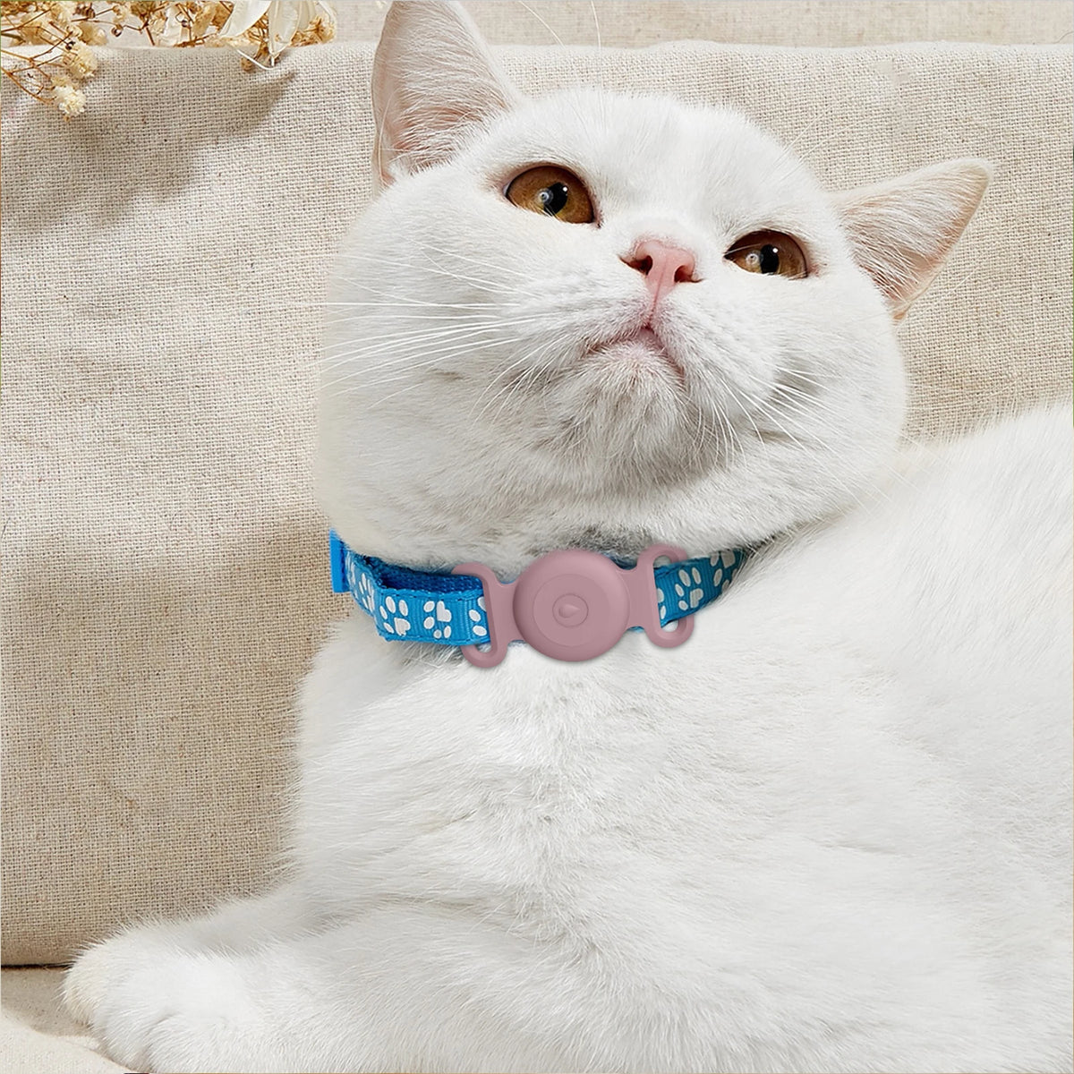 Funda de Silicona para Localizador – Se engancha al collar de tu perro o gato
